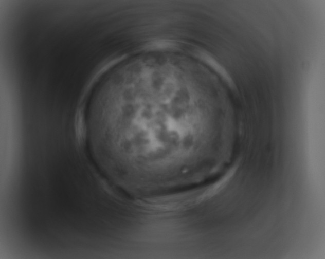 X0000101471117200807071437