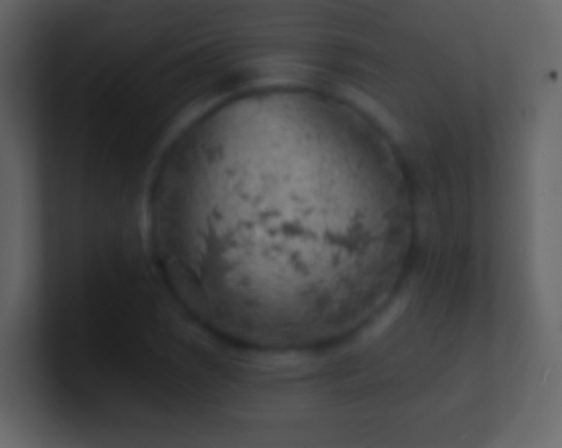 X0000101471121200807071437