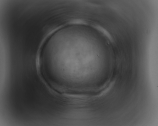 X0000101471125200807071437