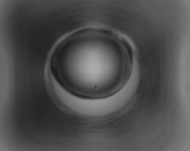 X0000101471128200807071438