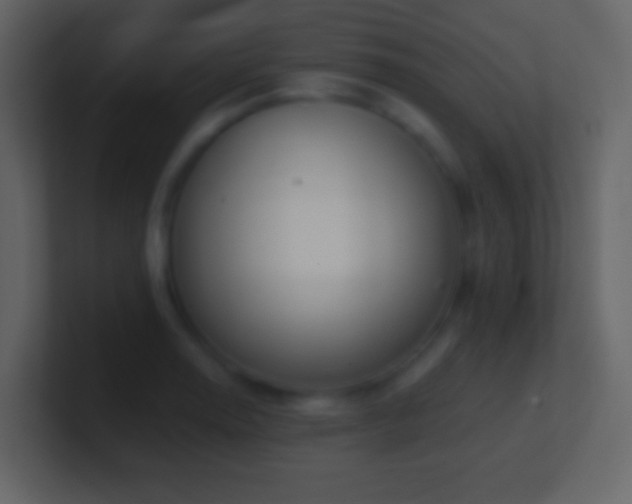 X0000101471130200807071438