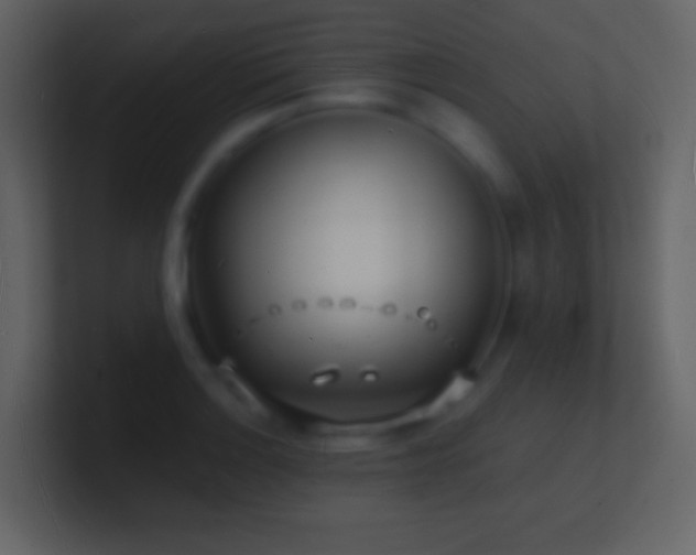 X0000101471132200807071438