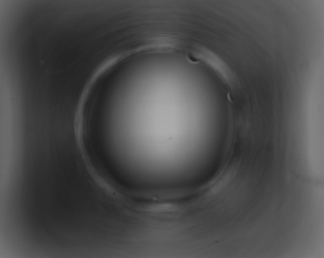 X0000101471135200807071438