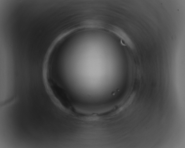X0000101471136200807071438