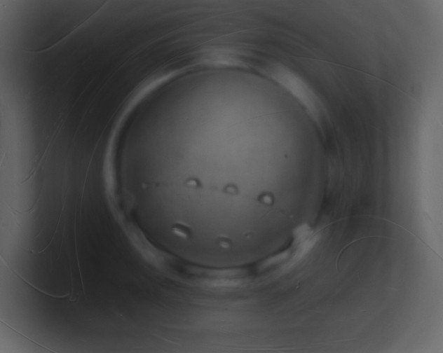 X0000101471141200807071438