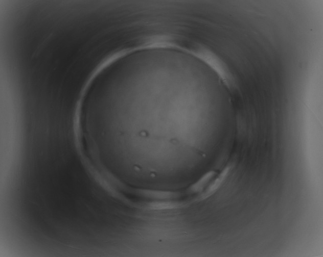 X0000101471142200807071438