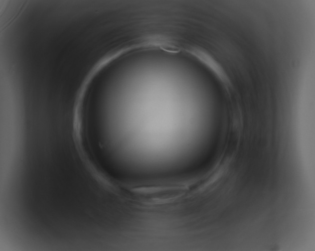 X0000101471144200807071438
