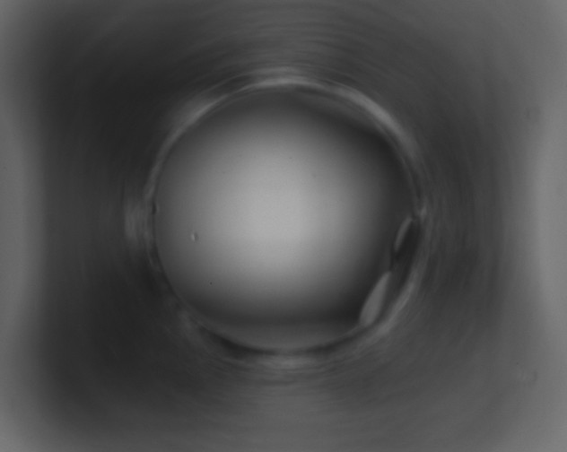 X0000101471145200807071438
