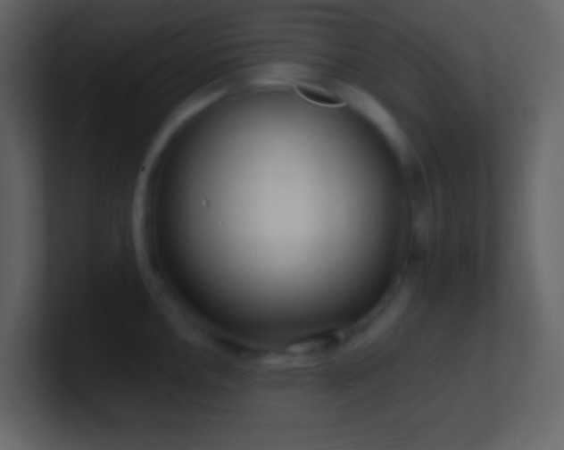 X0000101471146200807071438
