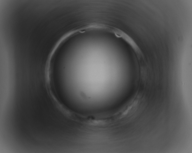 X0000101471148200807071438