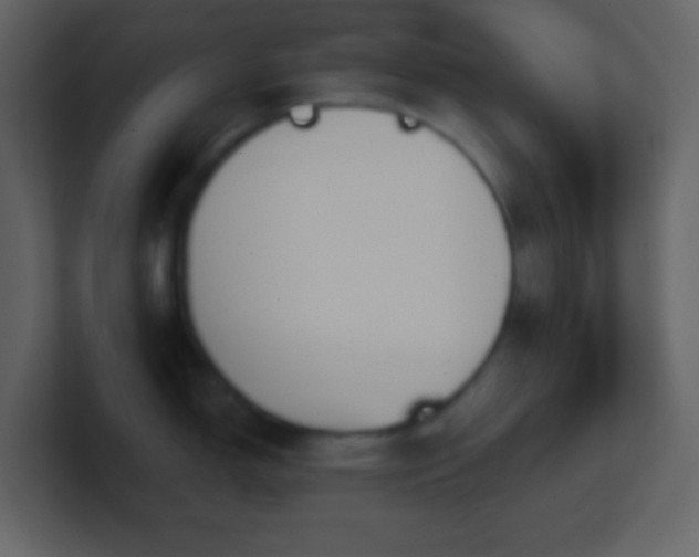 X0000101471150200807071438