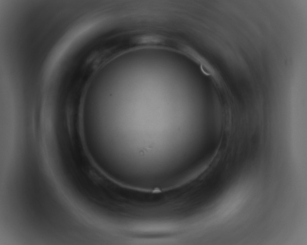 X0000101471151200807071438