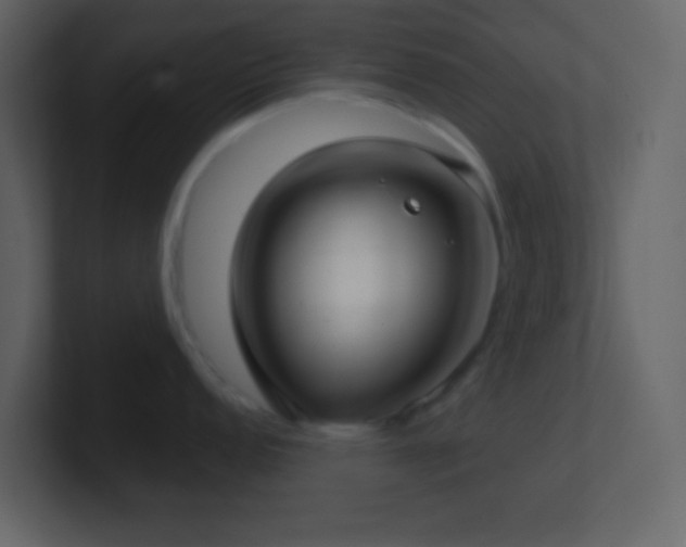 X0000101471152200807071438