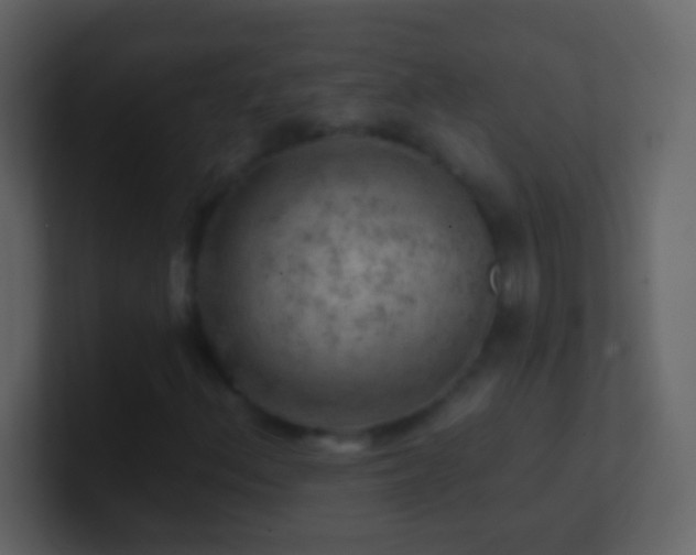 X0000101471156200807071437