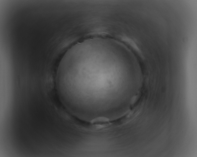 X0000101471159200807071437