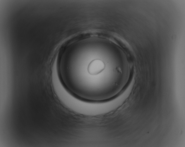 X0000101471160200807071437