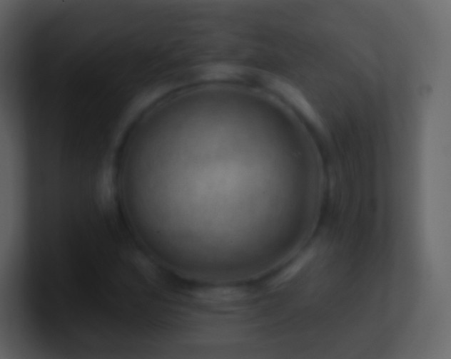 X0000101471164200807071437