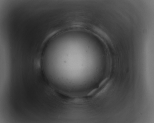X0000101471166200807071437