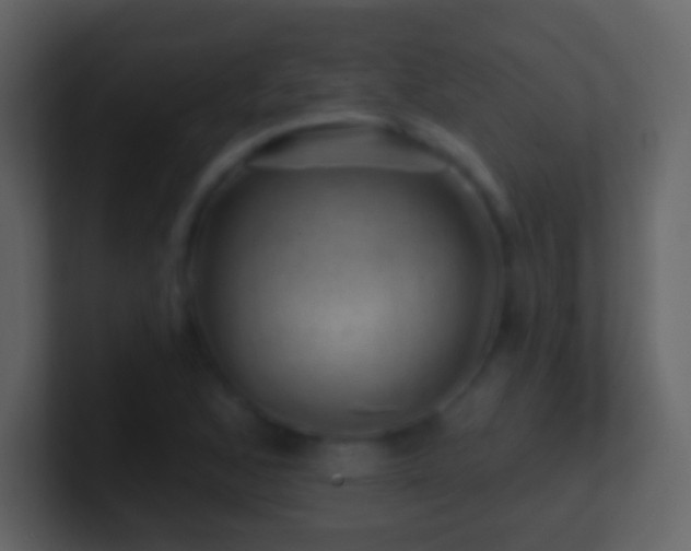 X0000101471168200807071437