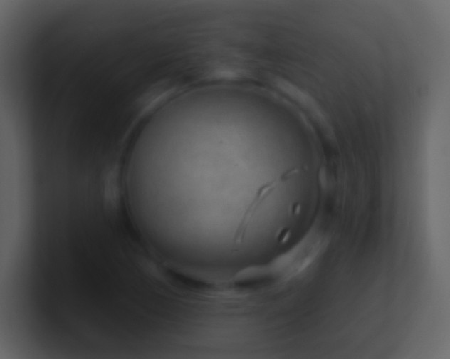 X0000101471170200807071437