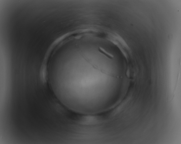 X0000101471172200807071437