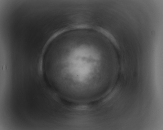 X0000101471174200807071437