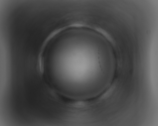 X0000101471175200807071437