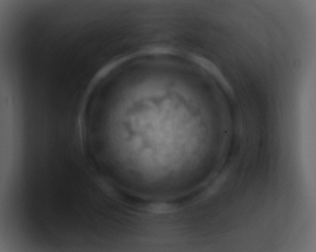 X0000101471176200807071437