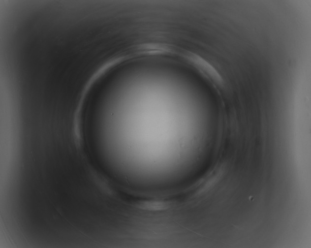 X0000101471182200807071437