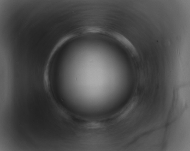 X0000101471190200807071437