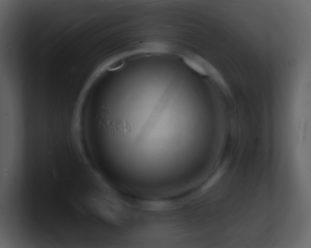 X0000101471192200807071437
