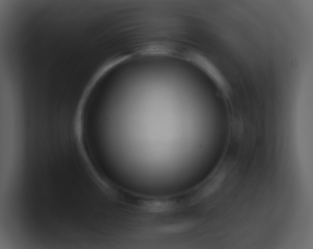 X0000101471195200807071437