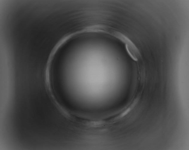 X0000101471196200807071437