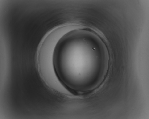 X0000101471200200807071437