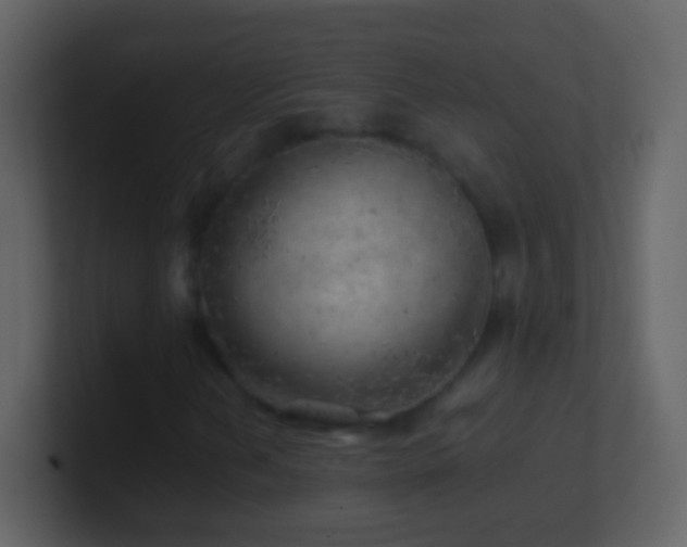 X0000101471202200807071436
