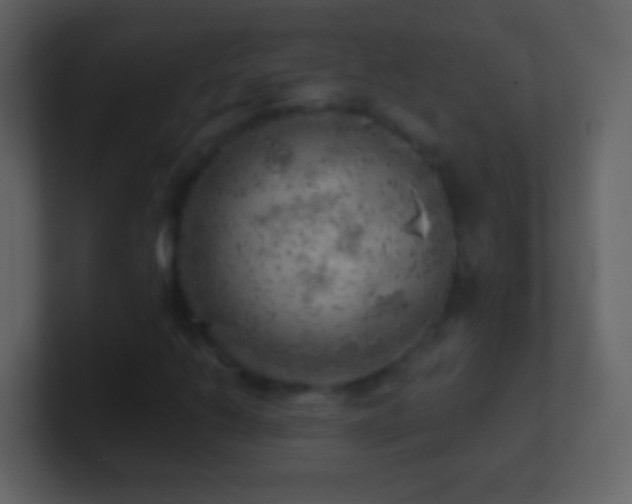 X0000101471206200807071436