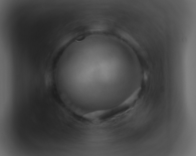 X0000101471208200807071436