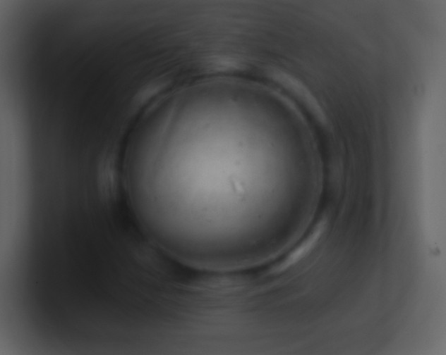 X0000101471210200807071436