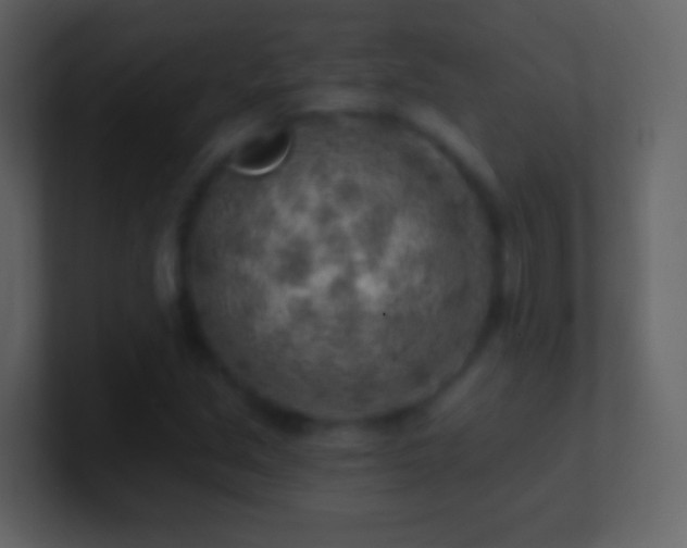 X0000101471213200807071436