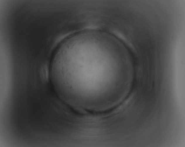 X0000101471214200807071436