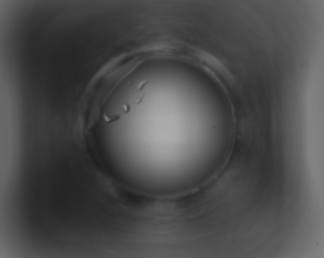 X0000101471216200807071436