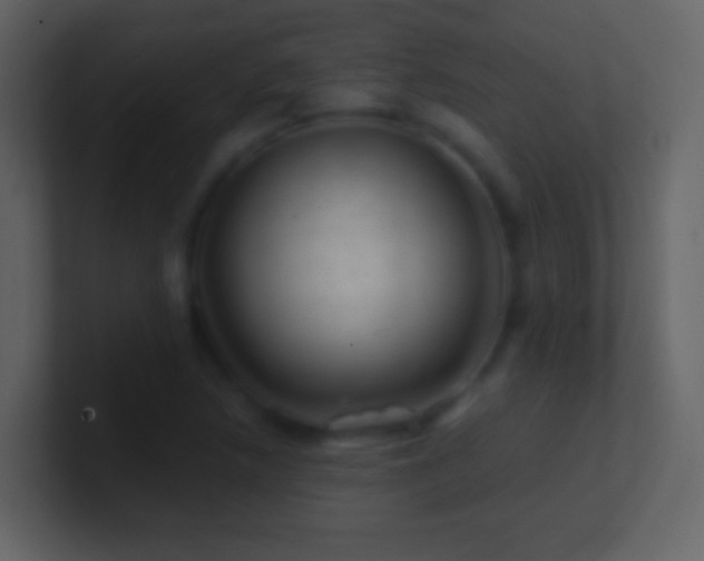 X0000101471218200807071436