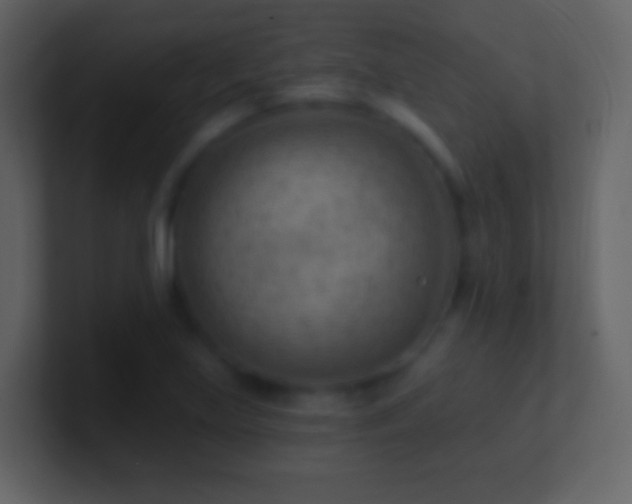 X0000101471219200807071436