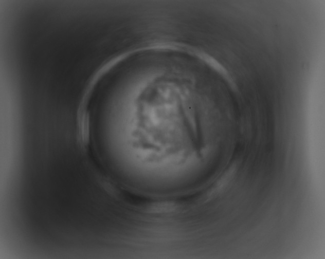 X0000101471223200807071436