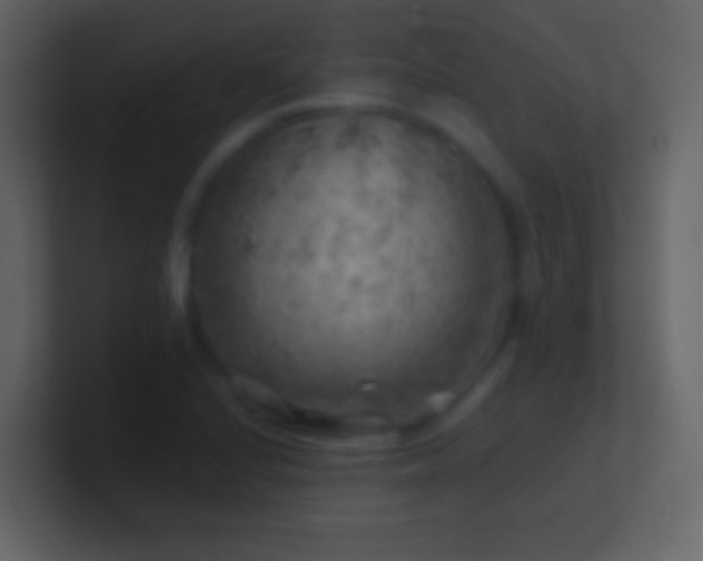 X0000101471224200807071436