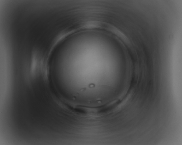 X0000101471226200807071436