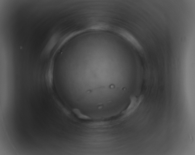 X0000101471228200807071436