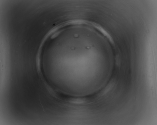X0000101471229200807071436