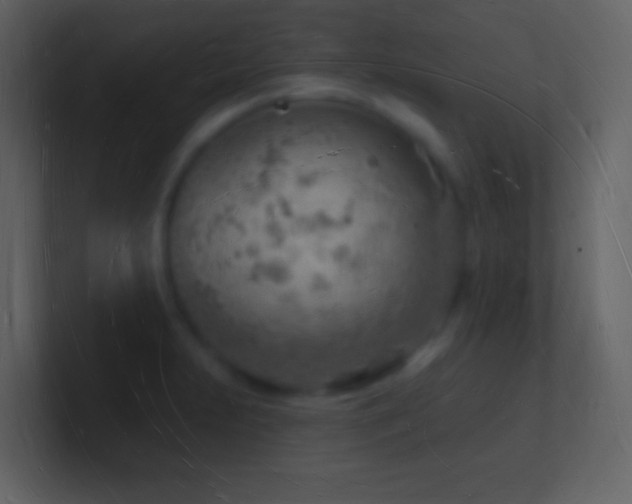X0000101471231200807071436
