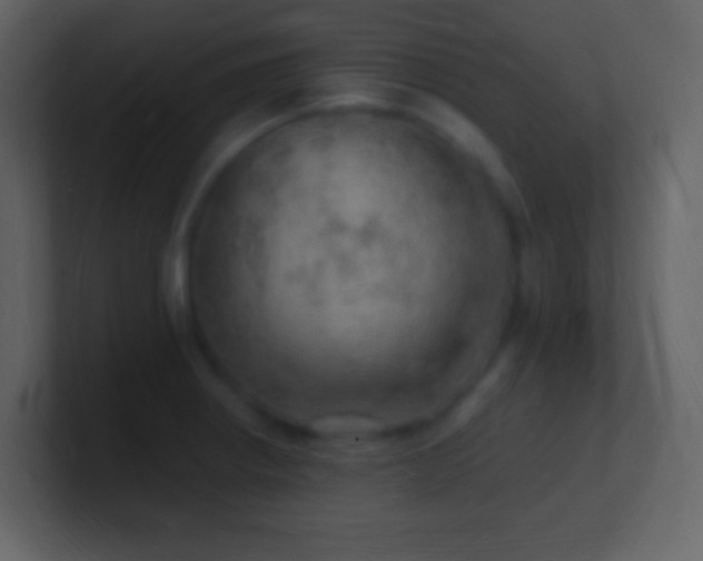 X0000101471234200807071436
